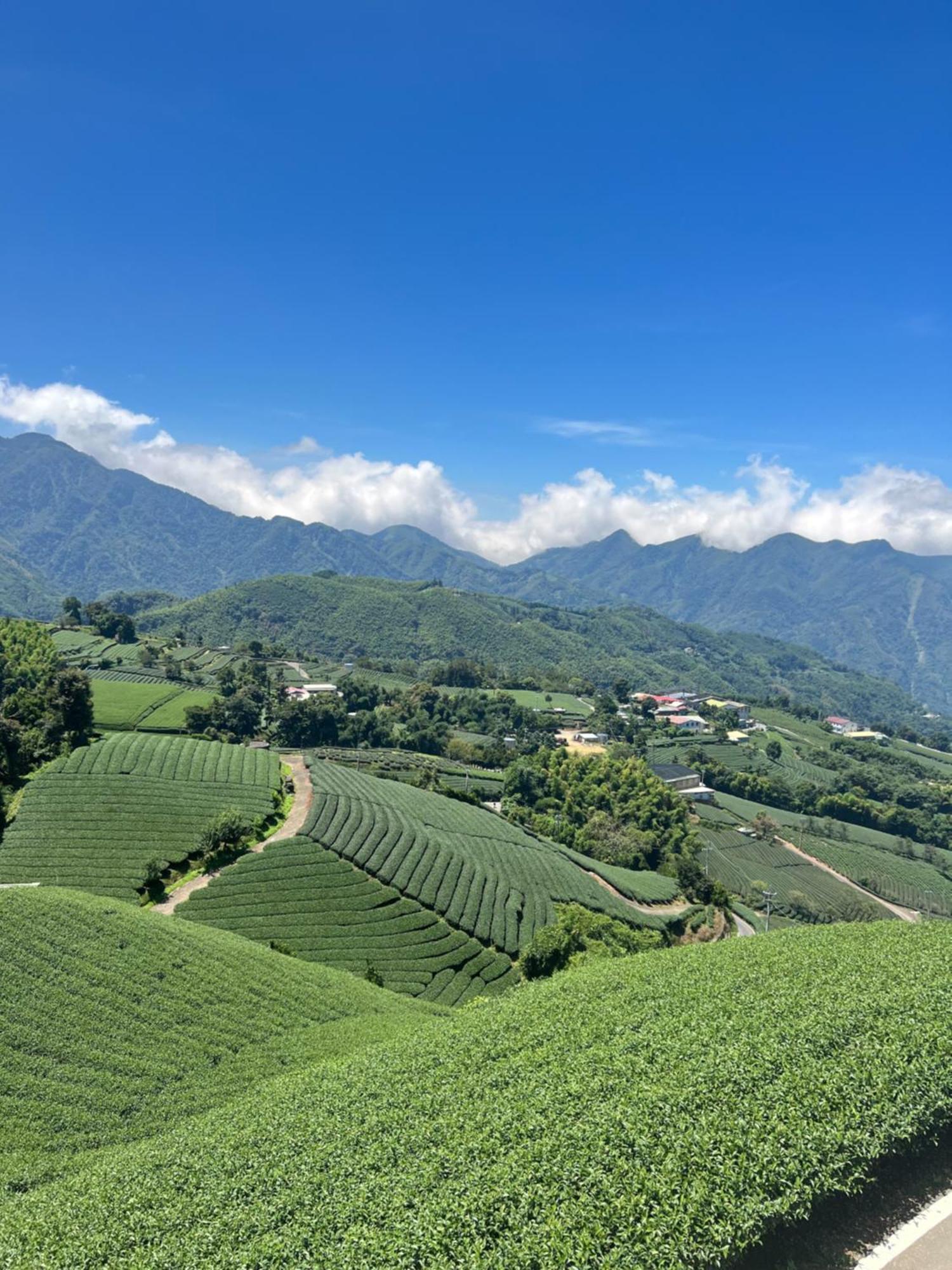 Gaodiyuan Tea B&B 高帝園茶業民宿 Meishan Exterior foto